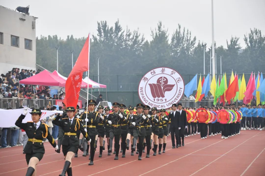 图片6.png 图片